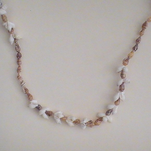 Jewelry - Vintage Shell Necklace